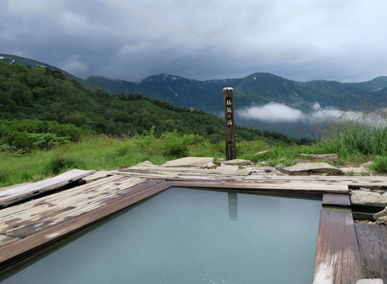 20150821renge-005.jpg