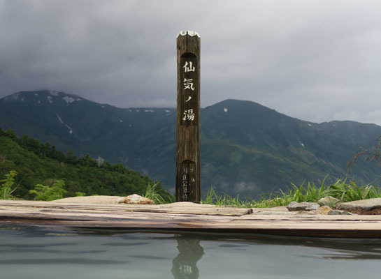 20150821renge-006.jpg