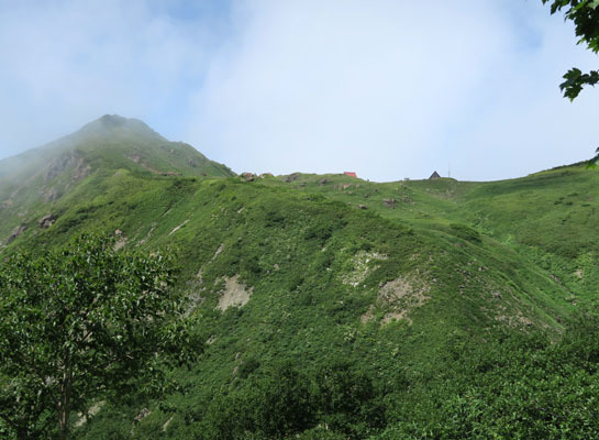 20150823asahi-020.jpg