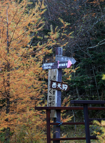 20151024tengu-002.jpg