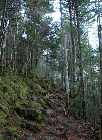 20151024tengu-003.jpg