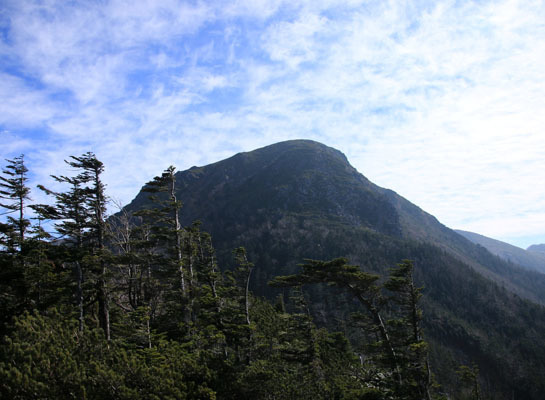 20151024tengu-007.jpg