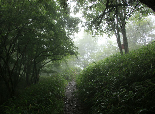 20160716yakushidake-003.jpg