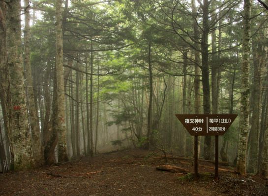 20160716yakushidake-006.jpg