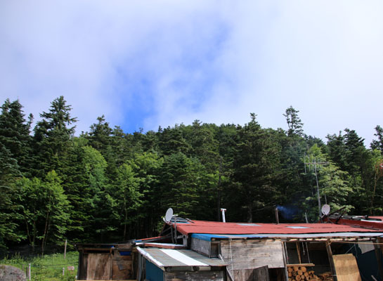 20160716yakushidake-009.jpg