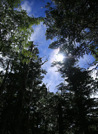 20160716yakushidake-011.jpg
