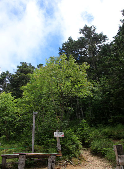 20160716yakushidake-026.jpg