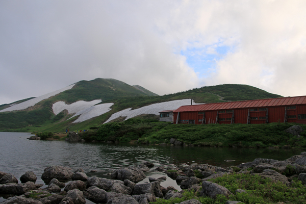 20170727renge-013.jpg