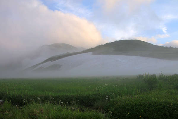 20170727renge-015.jpg