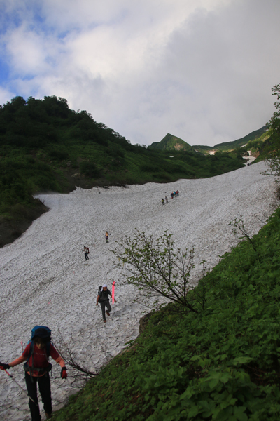 20170729sarukura-003.jpg