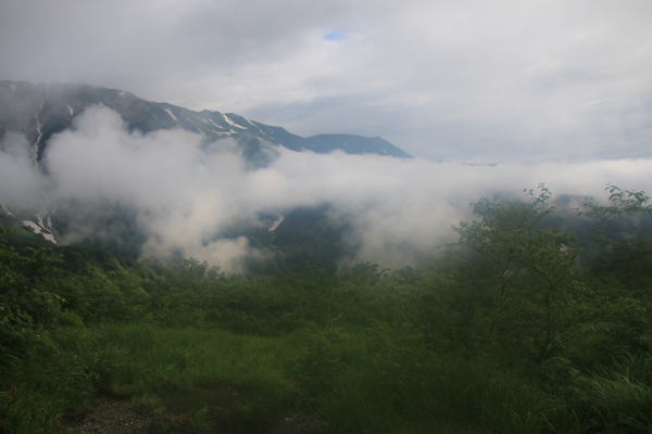 20170729sarukura-006.jpg