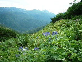 akagisawa2003-005.jpg