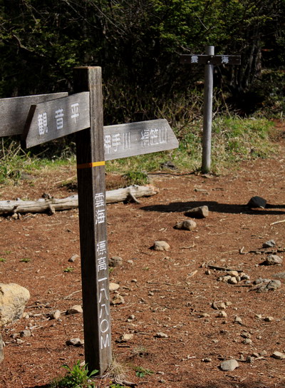 amigasa20100608-003.jpg