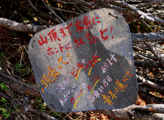 amigasa20100608-009.jpg