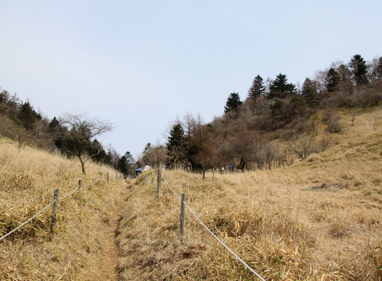 daibosatu20110502-007.jpg