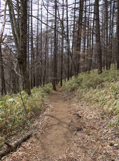 daibosatu20110502-022.jpg