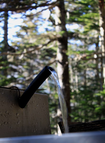 hayakawa20101106-101.jpg