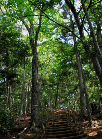 jyataki20110624-005.jpg