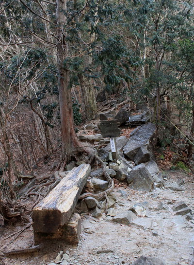 kenashi20110129-003.jpg