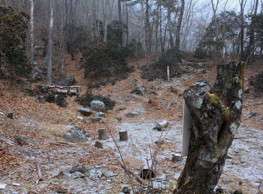 kenashi20110129-004.jpg