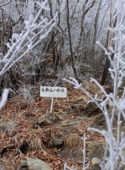 kenashi20110129-007.jpg