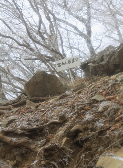 kenashi20110129-008.jpg