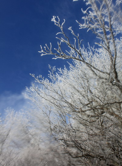 kenashi20110129-009.jpg