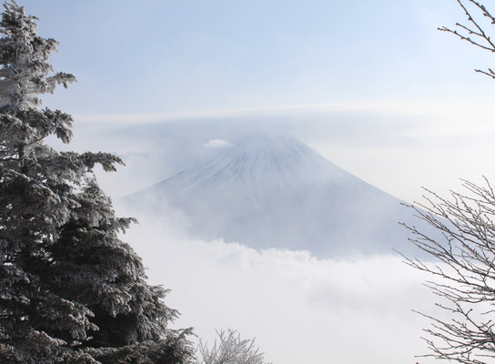 kenashi20110129-016.jpg