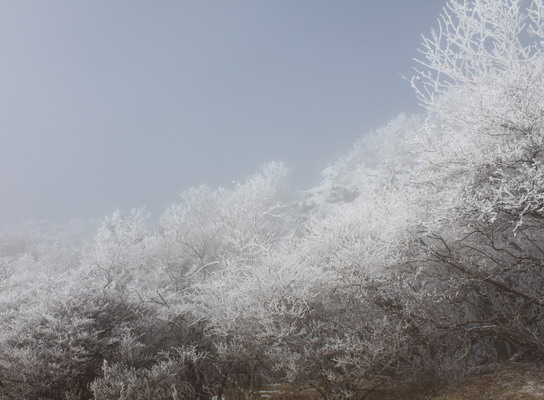 kenashi20110129-023.jpg