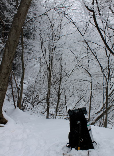 kumotori20110213-004.jpg