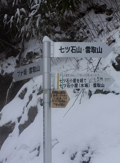 kumotori20110213-005.jpg