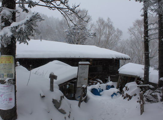 kumotori20110213-008.jpg