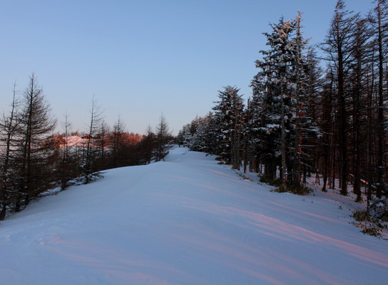 kumotori20110213-205.jpg