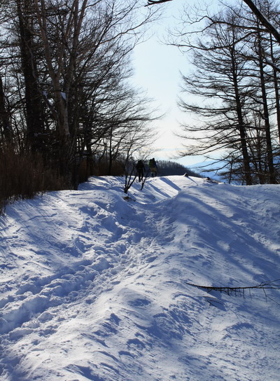kumotori20110213-213.jpg