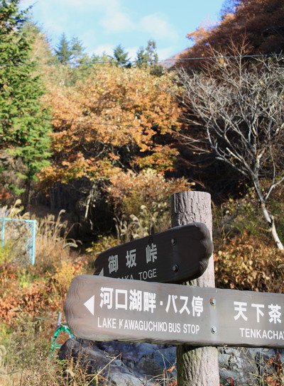 kurodake20101121-001.jpg
