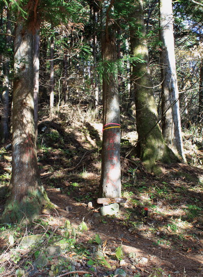 kurodake20101121-002.jpg