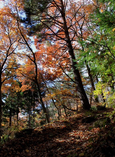 kurodake20101121-003.jpg