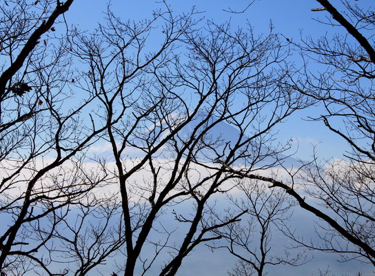 kurodake20101121-004.jpg