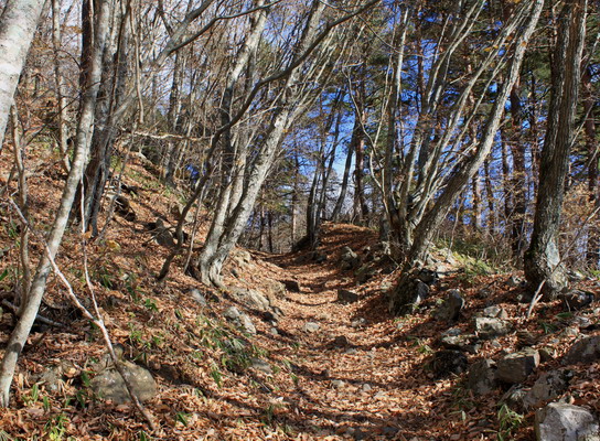 kurodake20101121-005.jpg