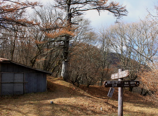 kurodake20101121-006.jpg