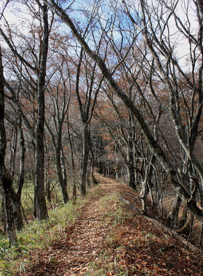 kurodake20101121-007.jpg