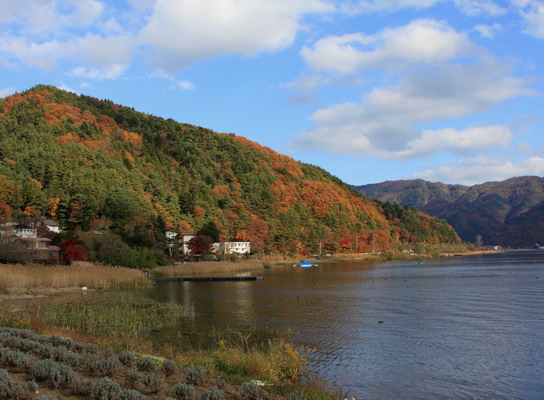 kurodake20101121-022.jpg