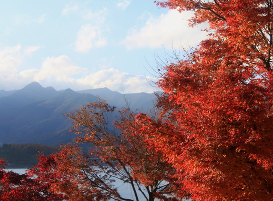 kurodake20101121-024.jpg