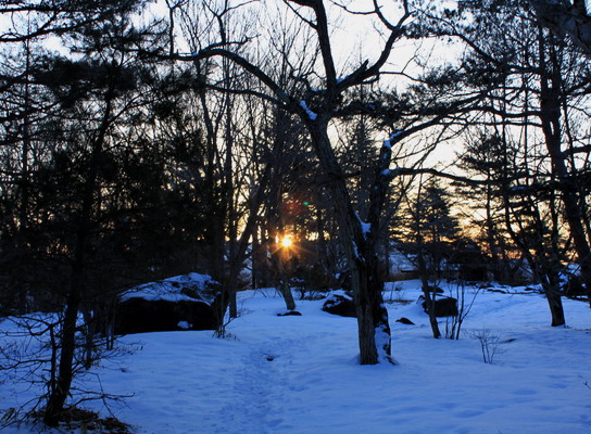 mitugashira20110305-002.jpg