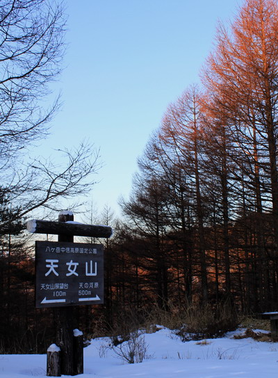 mitugashira20110305-003.jpg