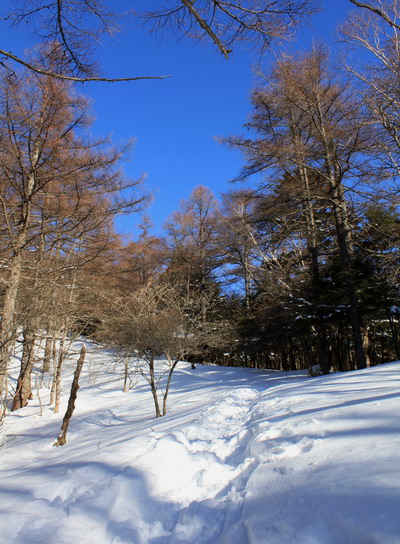 mitugashira20110305-007.jpg