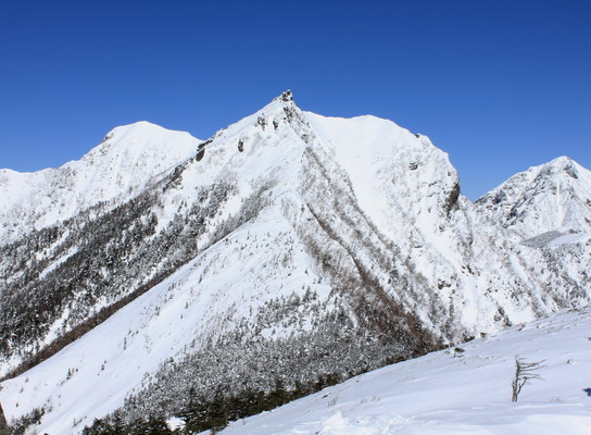 mitugashira20110305-013.jpg