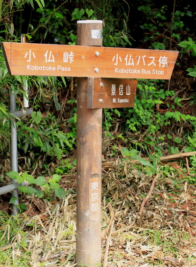 sokozawa20100714-003.jpg