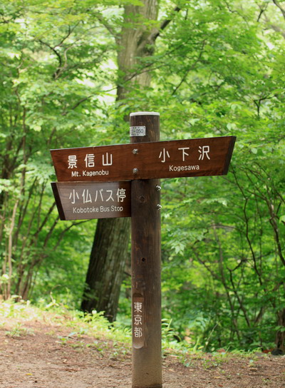 sokozawa20100714-005.jpg
