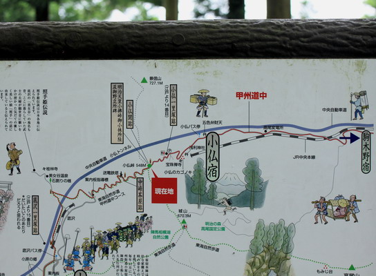 sokozawa20100714-012.jpg